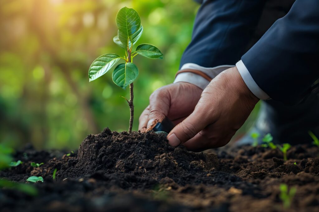 Person Holding Small Plant in Dirt, Planting for Prosperity and Growth